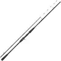Captain James Sea Master Bottom Jigging Stang