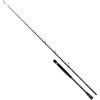 Colmic Naxos Casting Jigging Stang