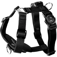 My Family Memopet H Adjustable Hundeseletøj