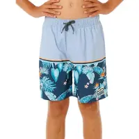 Rip Curl Streamline Stripe Volley Badeshorts