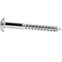 Cofan Sikkerheds-torx-skrue 7x70 Mm 100 Enheder