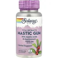 Solaray Mastic Gum 500mg Kapsler 45 Enheder