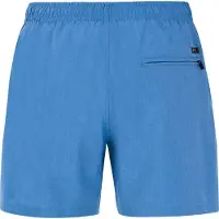 Protest Davey Badeshorts