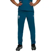 Puma Portugal Training Pants Youth, Football, Ocean Tropic/Silver Mist, 7-8Y
