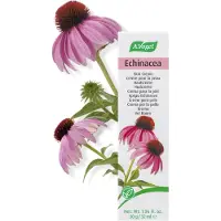 A. Vogel Echinacea Creme 30 g.