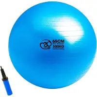 Fitness-Mad 300kg Anti-burst Swiss Fitball