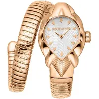 Roberto Cavalli by Franck Muller Dameur RC5L110M0055 Fiaba