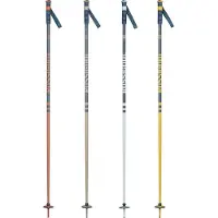 Rossignol Stove Spadserestokke 20 Par