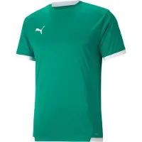 Puma Trænings T-Shirt teamLIGA - Grøn/Hvid, størrelse Large