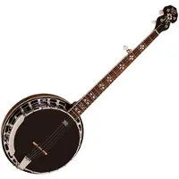Barnes & Mullins BJ400E Rathbone 5 String Electric Banjo