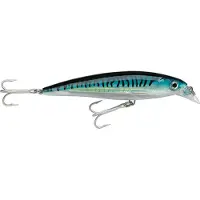 Rapala X-rap Saltwater Minnow 22g 120 Mm