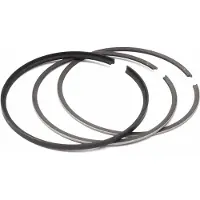 S3 Parts Ri-54.00x1 Stempelring
