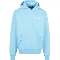 Dropsize Sweatshirt lyseblå