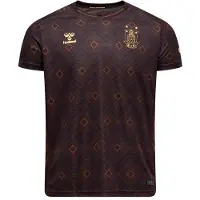 Hummel Brøndby IF 3. Trøje 2025/26 Børn - , størrelse 104 cm