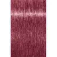 Schwarzkopf Professional Igora Vibrance Kit 9.5-98 Violet Red Toner