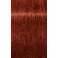 Schwarzkopf Professional Igora Vibrance Kit 7-88 Medium Blonde Red Extra