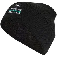 Adidas Mercedes - Amg Petronas Formula 1 Team Dna Hue, størrelse Large