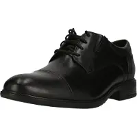 Clarks Shoes Steadwell Cap Sko