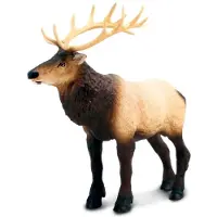 Safari Ltd Moose Figur