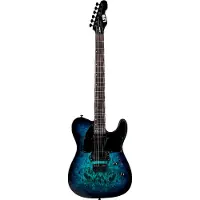 ESP Guitars ESP LTD TE-200DX Blue Burst