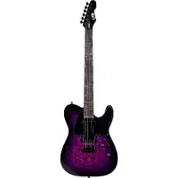 LTD Guitars ESP LTD TE-200DX Purple Burst