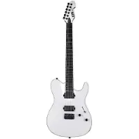 ESP Guitars ESP LTD TH-1000 Snow White