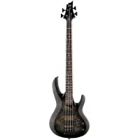 ESP Guitars ESP LTD B-204DX Black Burst