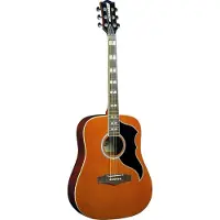 Eko guitars Eko Ranger VI VR Acoustic Natural