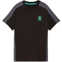 Puma Active Sports Graphic Tee Youth, Clothing, Black, 11-12Y