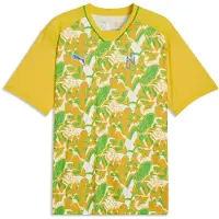 Puma Neymar Jr. Brazil Passion Jersey Men, Clothing, White/Pelé Yellow/Green, 3XL