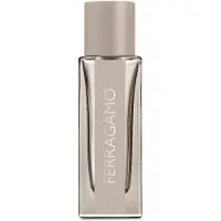 Salvatore Ferragamo Bright Leather Eau de toilette 30 ml