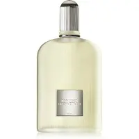Tom Ford Grey Vetiver Eau de parfum 100 ml