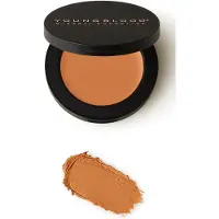 Youngblood Ultimate Concealer Concealer 2.8 g Tan Deep