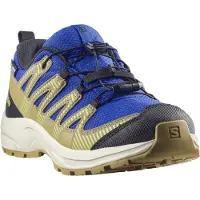 Salomon Xa Pro V8 Wp Trailsko