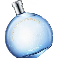 Hermès Paris Eau Des Merveilles Bleue Eau de toilette 30 ml