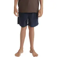 Quiksilver Taxer Cord Shorts