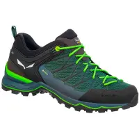 Salewa Mountain Trainer Lite Gore-tex Vandresko