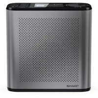 Sharp Osaka DR-P530 bærbar radio grå-sort