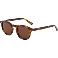 Corlin Eyewear Solbriller 'Todd' karamel / cognac / mørkebrun