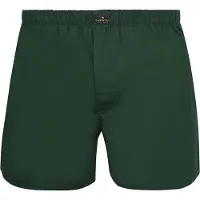 Steppin' Out Steppin’ Out Poplin Boxershorts Racing Grøn ørkegrøn åle