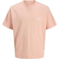 Jack & Jones Back Printet T-shirt Boys