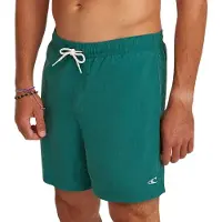 O'Neill Badeshorts 'Vert' grøn
