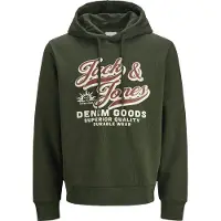 Jack & Jones Sweatshirt beige / mørkegrøn / rød