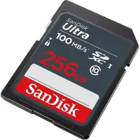SanDisk Ultra Lite Sdxc 256gb 100mb/s Hukommelseskort