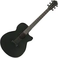 Ibanez AEG621 Black Out