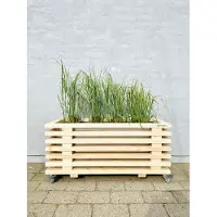 Kabeltromlen Luksus Plantekasse af Traller | Nye Traller | 56 cm (9 lægter) / 177 cm