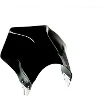 Puig Raptor Kawasaki Z900rs Se 2025 Sportslig Forrude