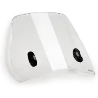 Puig Trafic Vespa Gtv 300 2025 Forrude