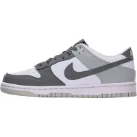 Nike Sneakers 'Dunk' grå / mørkegrå / hvid