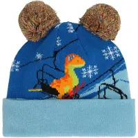 Spyder Wonder Beanie